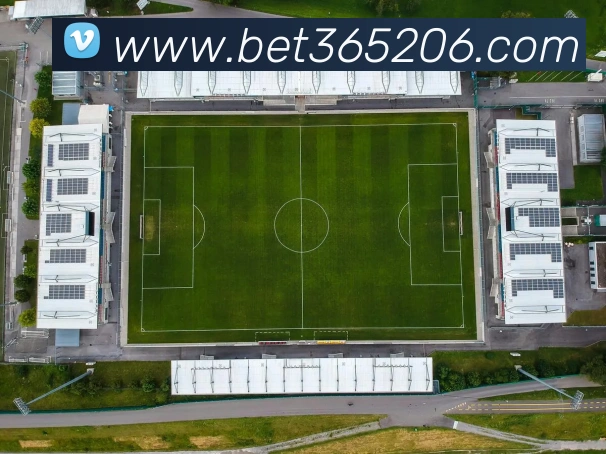 bet365中国官网发展历程